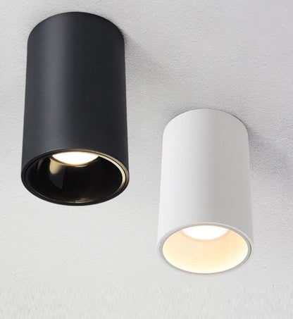 Pins white spotlight